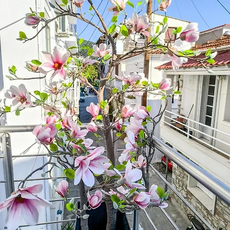 Ermina House Hébergement de vacances