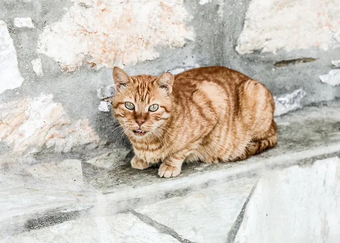 Nyaraló Ermina House Szkiáthosz