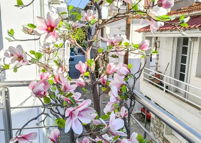 Ermina House Nyaraló